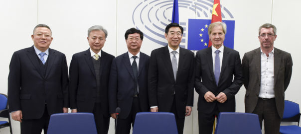 EP-061206A_Interparlementary meeting EU - China